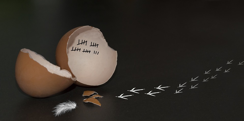 Mietspiegel 2024: Berechnung der ortsüblichen Miete basierend auf Lage, Größe und Zustand der Immobilie