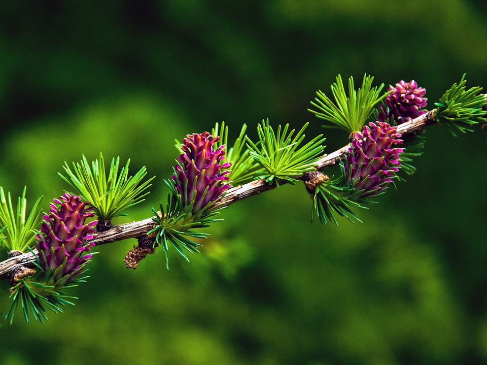 N26 darf nun 60.000 neue Kunden im Monat gewinnen – Finanzexperte wertet es als positiv für das Unternehmen