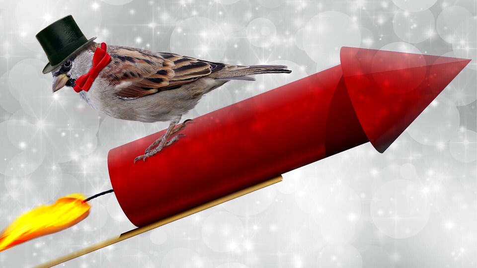 DIHK fordert Neustart in der Wirtschaftspolitik angesichts der Haushaltskrise – Finanzexperte erklärt Handlungsbedarf