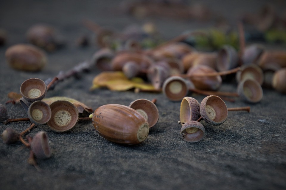 Deutsche Pfandbriefbank: Gewinnprognose für 2023 deutlich reduziert – Immobilienkrise belastet Unternehmen.
