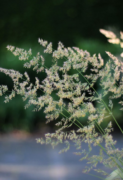 US-Aktienmarkt: AIG-Aktie etwas fester – Aktuelle Entwicklungen und Wertpapierkurs