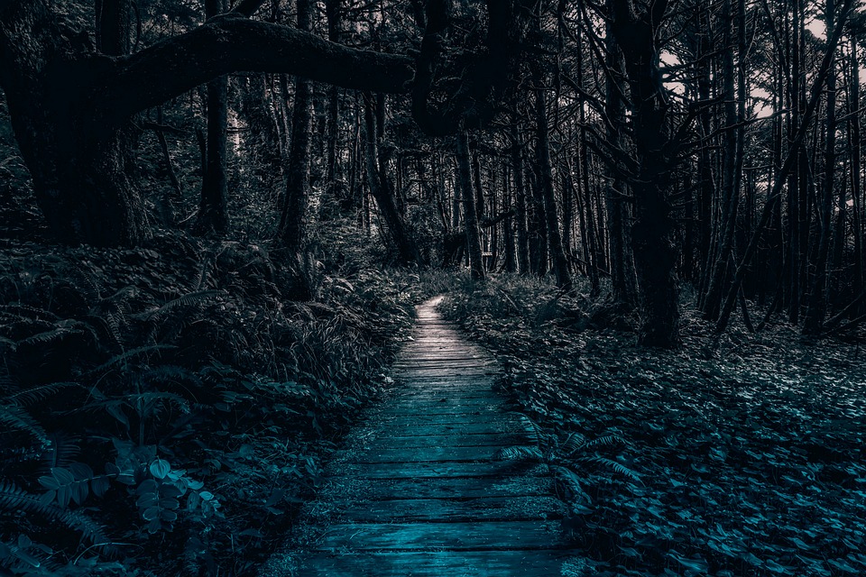 Die Beiersdorf-Aktie bleibt stabil: Was bedeutet das für Anleger?