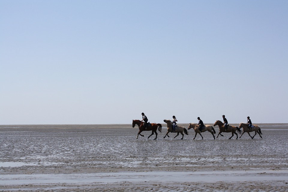 Paypal Aktie: Kursentwicklung und Unternehmensprofil – Finanzexperte berichtet