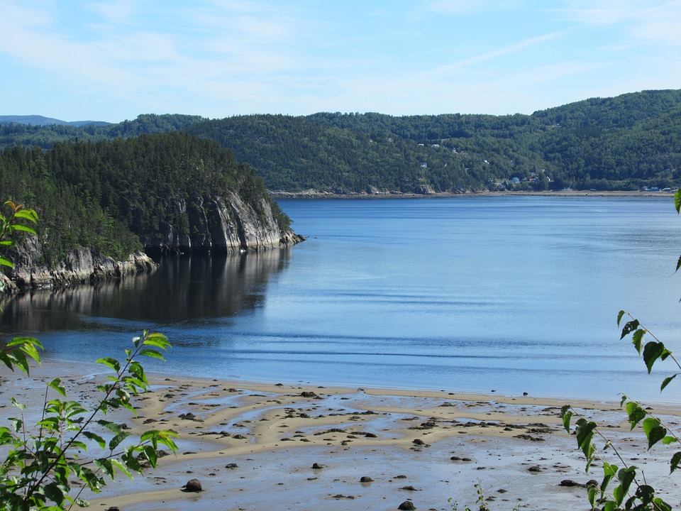 Wasserstoffaktien auf dem Vormarsch: Aktuelle Entwicklung und Ausblick.