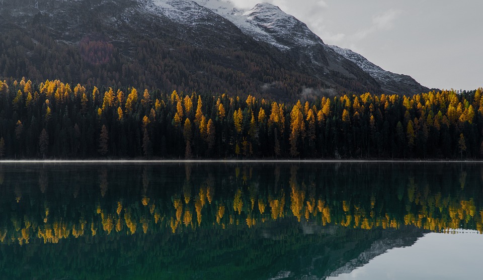 Wohnraumknappheit in der Schweiz: Experten prognostizieren steigende Wohnkosten und unfreiwillige Verdichtung – ein Finanzexperte analysiert.