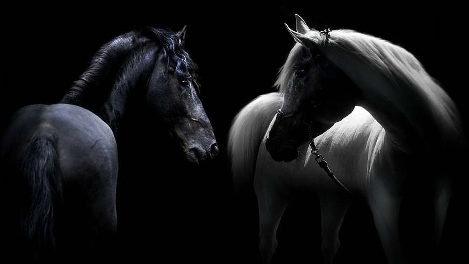 Finanzexperte warnt: E-Autobauer Lucid senkt Produktionsprognose – Aktienkurs fällt um 4 Prozent!