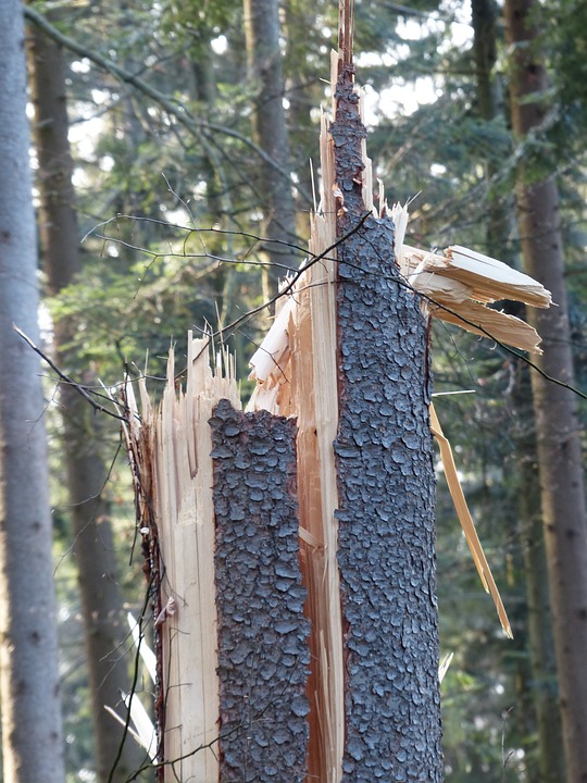 Versicherungsärger nach Unwetterschaden in Benediktbeuern: Finanzexperte warnt vor Willkür bei Schadensregulierung