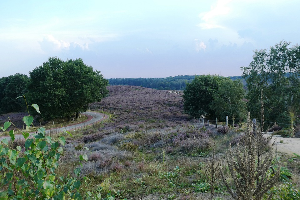 Postbank: Einschnitte und Schließungen der Filialen sorgen für Unruhe – Finanzexperten äußern Kritik