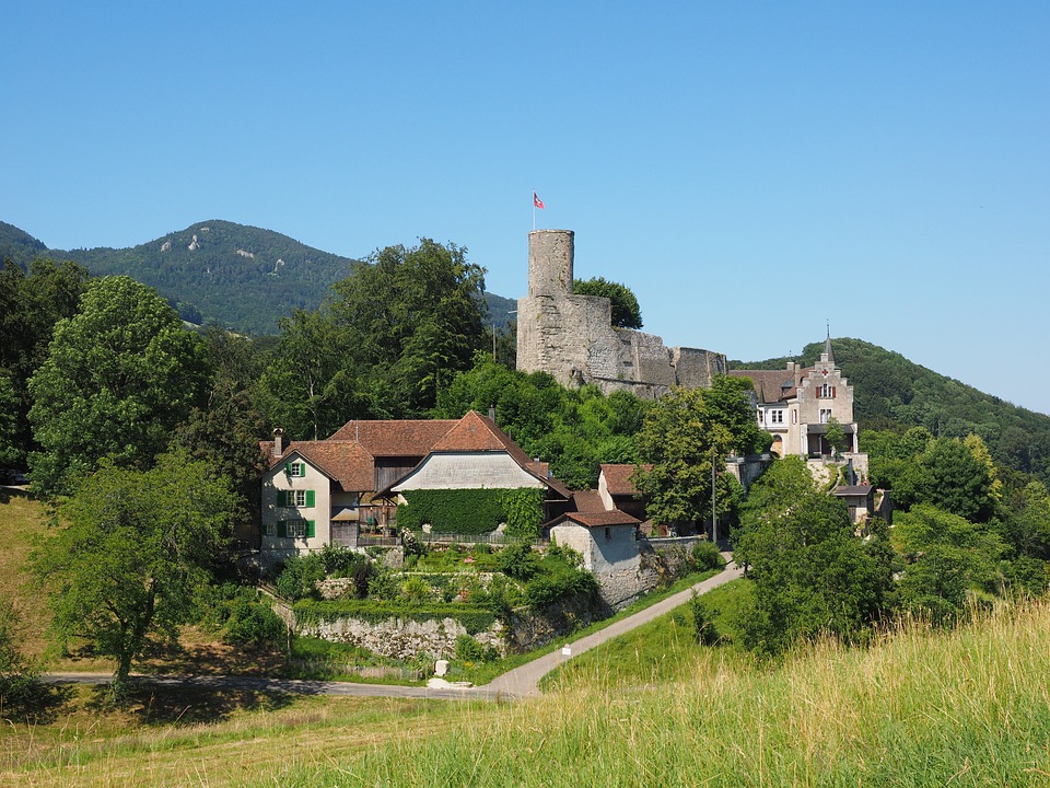 Finanzexperte prognostiziert: Deutsches BIP sinkt um 0,4%, erwartet leichtes Wachstum von 0,7% im kommenden Jahr. Ausblick auf globale Wirtschaftslage 2024.