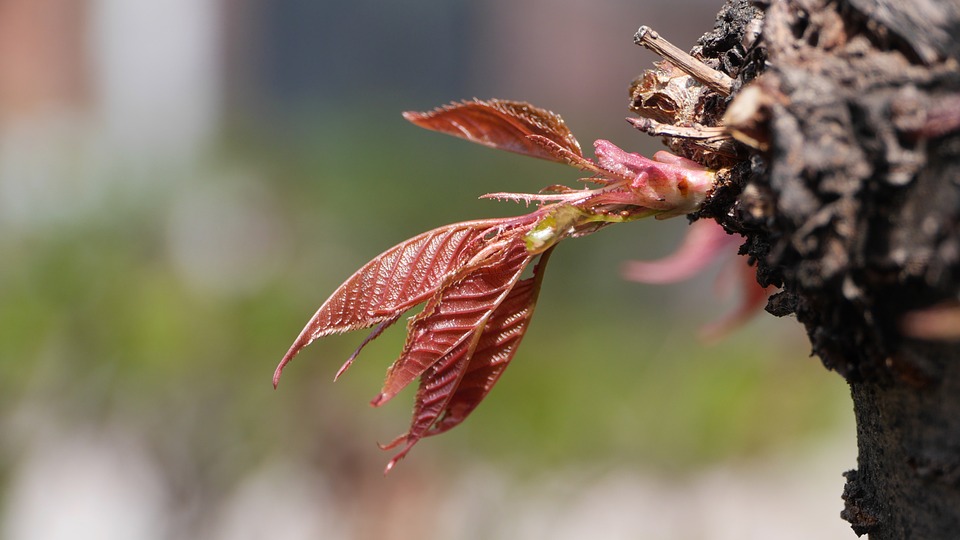 Dax schließt die Woche mit Verlust – Siemens-Energy-Aktien erholen sich