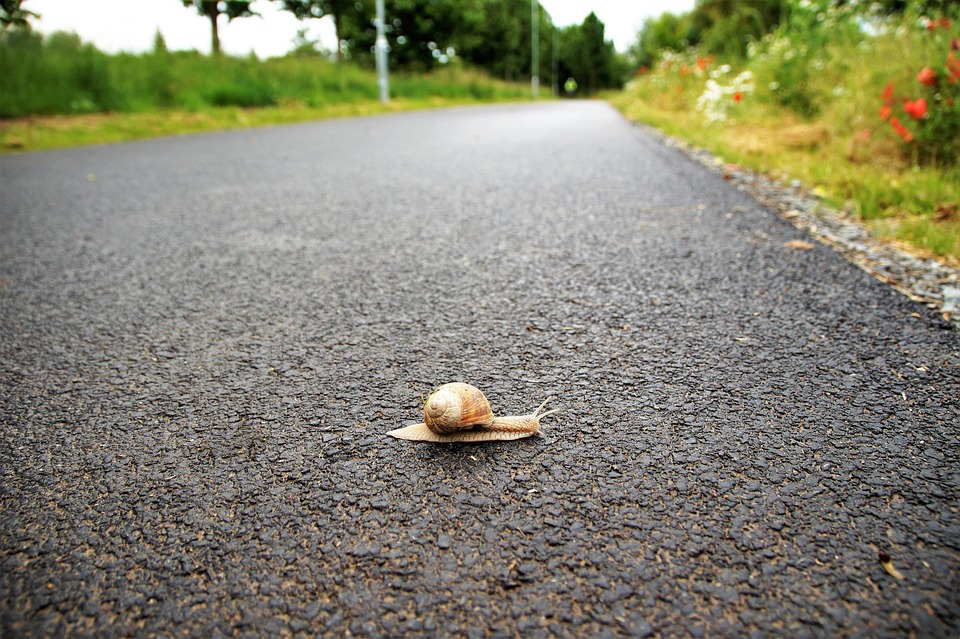 Anstieg der Altersrente ab 63 in Deutschland: Bedeutung für die Zukunft (SEO-optimiert)
