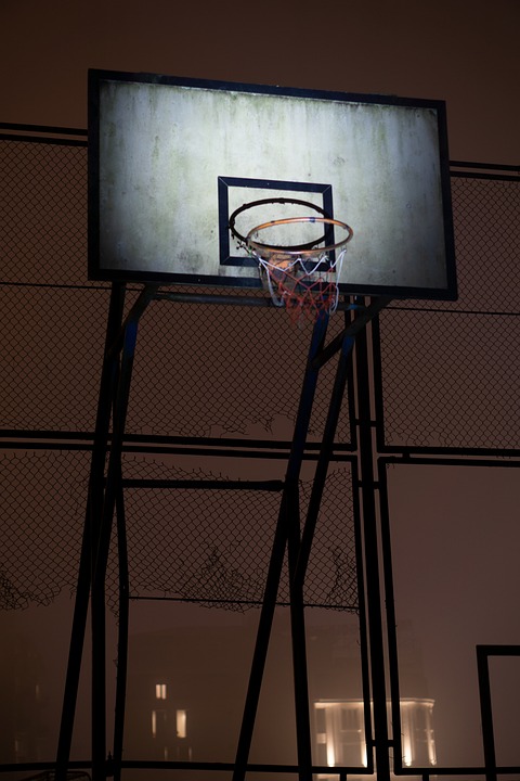 Wie man mit Dividenden ein Einkommen erzielt