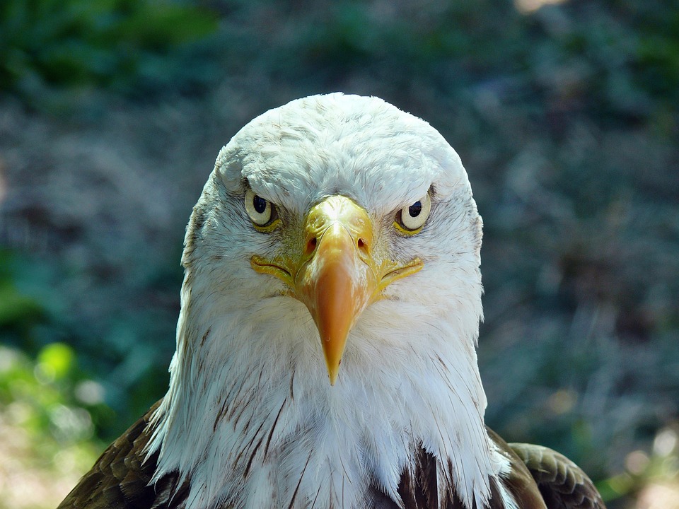 Finanzexperte kritisiert Bürgergeld-Erhöhung: Sparmaßnahmen trotz Haushaltskrise sinnvoll?