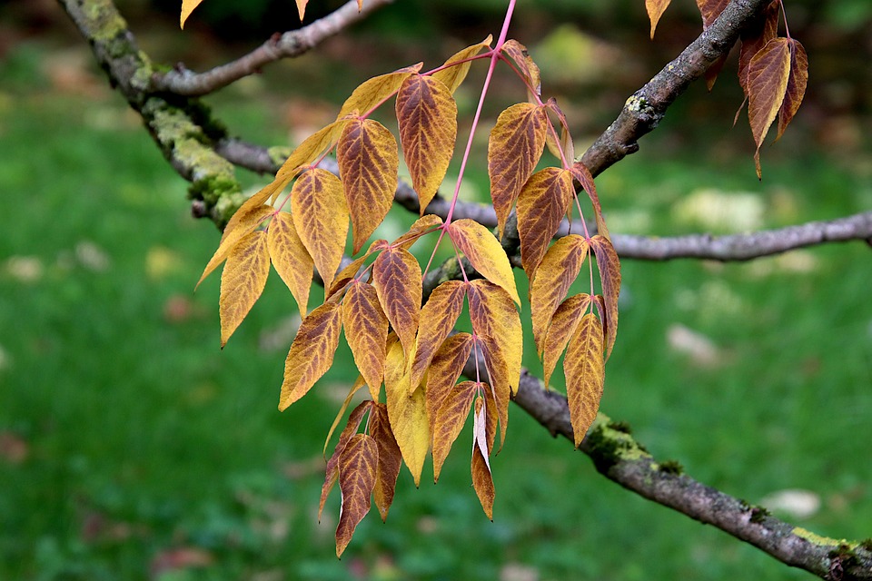 Finanzexperte: DAX bleibt stabil – Positive Stimmung am Aktienmarkt und hoffnungsvolle Zinsaussichten.