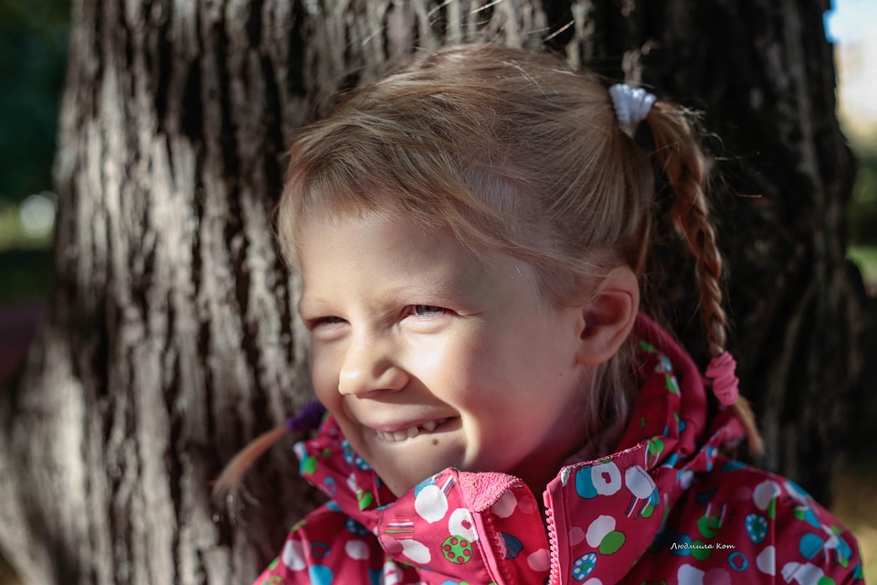 Wohnmobilversicherung: Wichtige Versicherungen für Wohnmobilbesitzer & Tipps zum Abschluss – Kosten, Leistungen & Bestimmungen