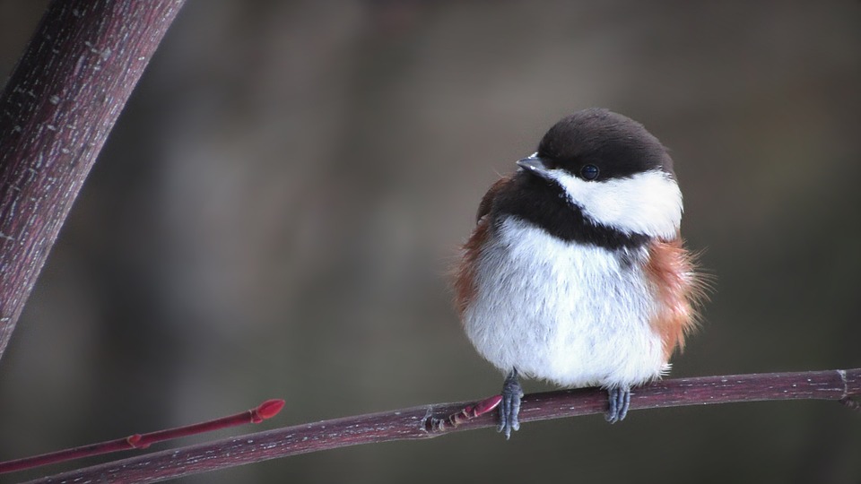 Nachhaltigkeits-Experte unterstützt den Rhein-Erft-Kreis – Finanzexpertise für klimafreundlichen Konsum