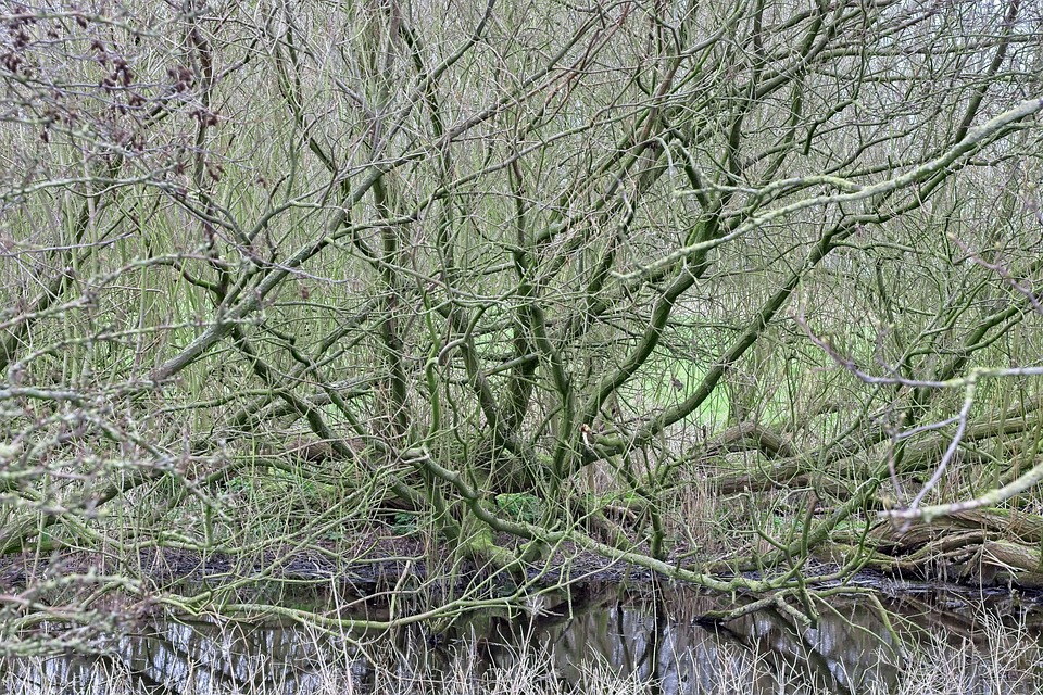 Lebensmittelteuerung: So erklärt ein Finanzexperte die Ursachen und Auswirkungen!