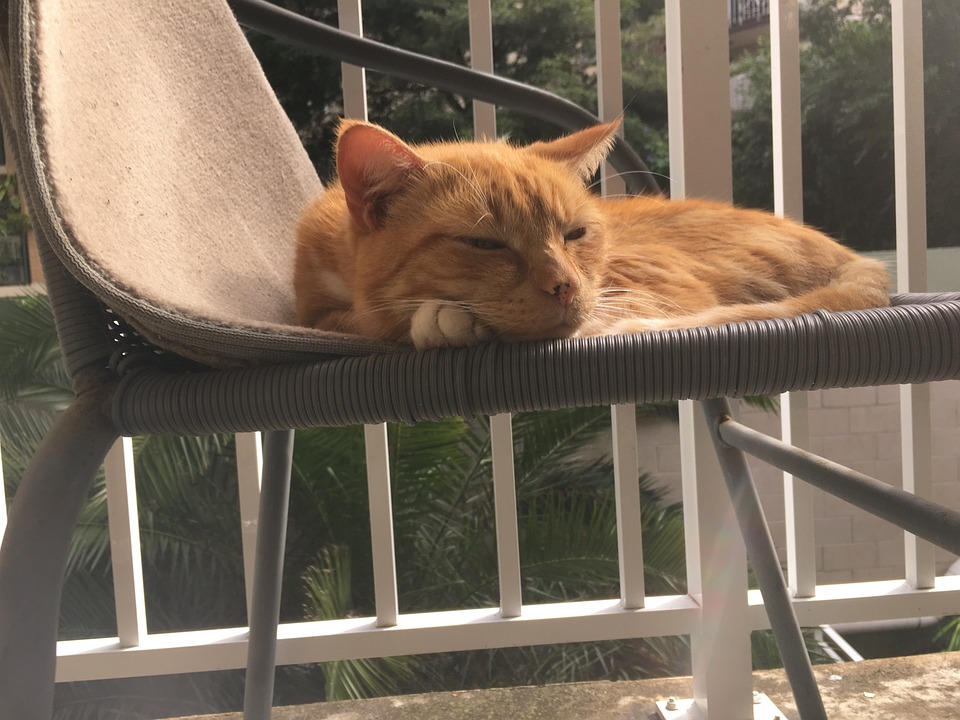 US-Börsen steigen, Goldpreis legt zu – Ein Finanzexperte analysiert die aktuelle Marktbewegung