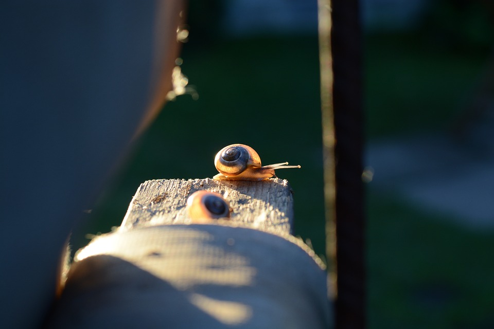 Deutlicher Anstieg des Heizenergieverbrauchs: Wie man die Kosten senken kann