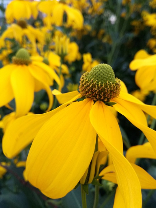 Langer Weg zum Comeback: Finanzexperte analysiert die aktuelle Situation bei Bayers Aktien