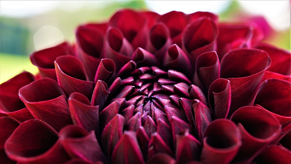 Das Haushaltsurteil aus Karlsruhe: Folgen und Konsequenzen für Bürger und Wirtschaft