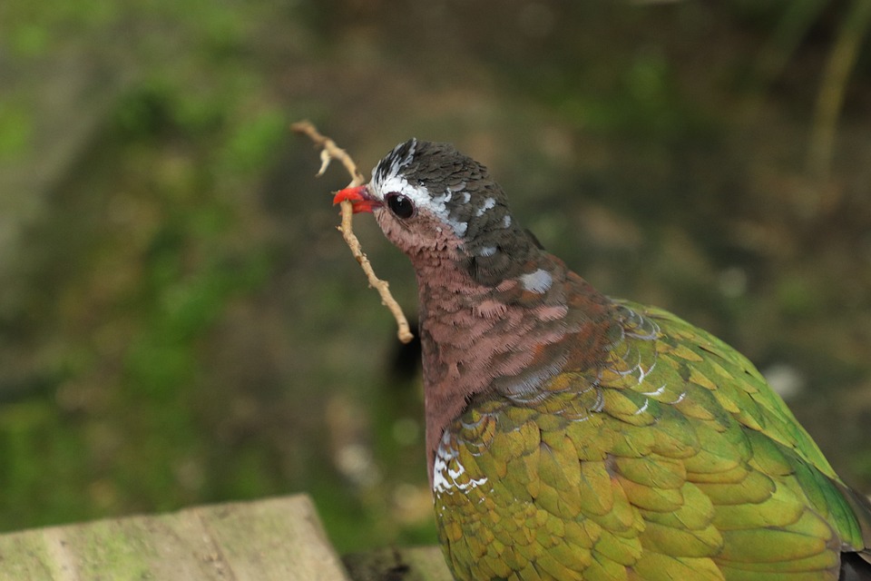 Link-Aktie im Plus: Finanzexperte analysiert Kursentwicklung und Potenzial des Unternehmens