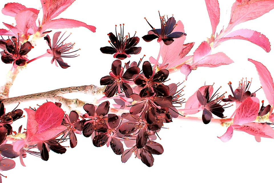 UDR-Aktie kaum verändert: Finanzexperte analysiert Kursbewegung und Potenzial