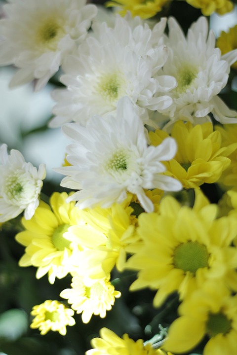 Warum Sterbegeldversicherungen für ältere Menschen oft wenig sinnvoll sind: Finanzexperte informiert über Alternativen