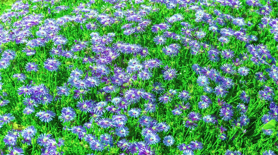 Fachkräftemangel in der Versicherungsbranche: Signal-Iduna kooperiert mit Google, um dem entgegenzuwirken