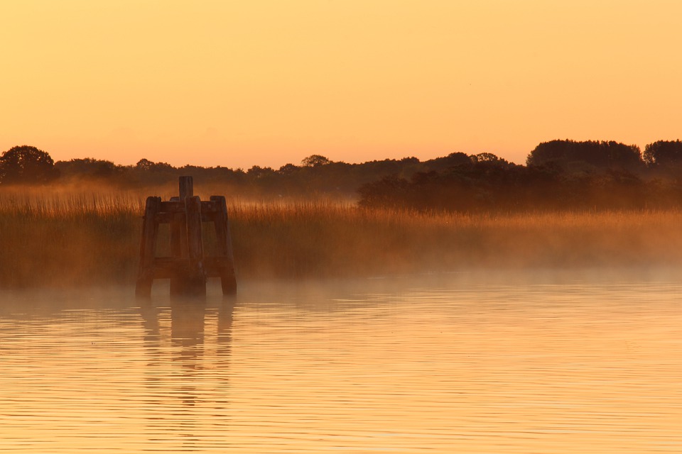 Warum die Fresenius-Aktie 2021 keine Dividende ausschüttet und was das für Investoren bedeutet