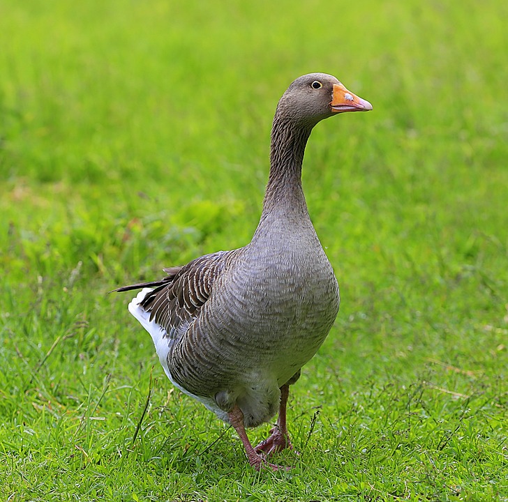 Die 5 wichtigsten Investmenttrends für die kommenden Monate und wie Sparer darauf reagieren sollten – Expertenmeinungen.