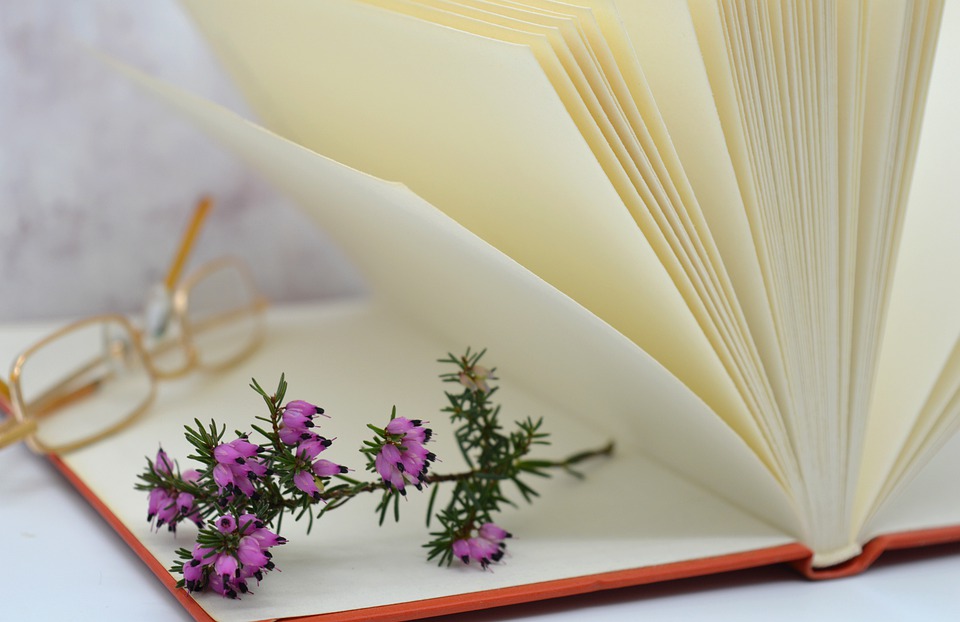 Finanzexperte enthüllt: Wie Erik Smolinski sein Nettovermögen durch Aktien und Immobilien diversifizierte