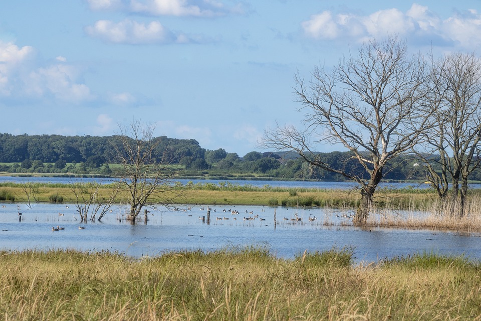 Dienstrechtliche Konsequenzen für Steuerexpertin des Bundesfinanzministeriums – Skandal oder Kavaliersdelikt?