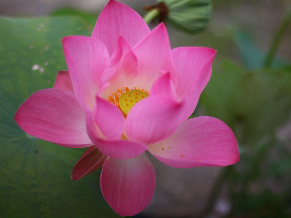 Was bedeutet der steigende CO2-Preis für Verbraucher:innen ab 2024? – Finanzexperte erklärt die Auswirkungen und wie du sparen kannst.