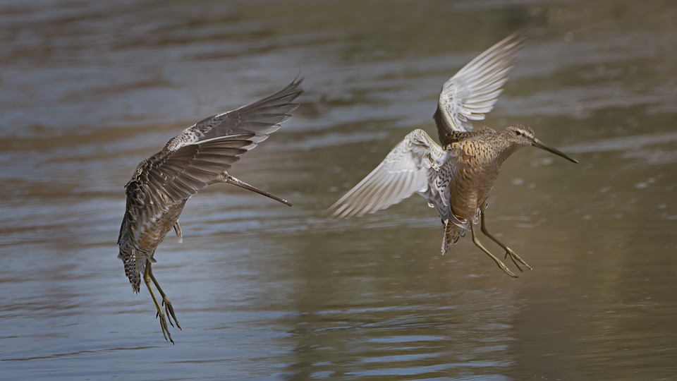 Finanzexperte: Verbraucherzentrale jetzt mit erweiterter telefonischer Beratung und neuen Öffnungszeiten.
