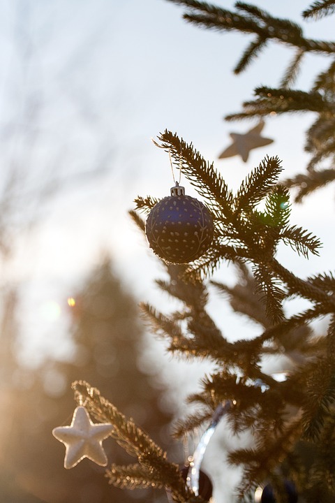 Neues Online-Angebot der Verbraucherzentralen: So lösen Sie Probleme mit Post- und Paketdiensten