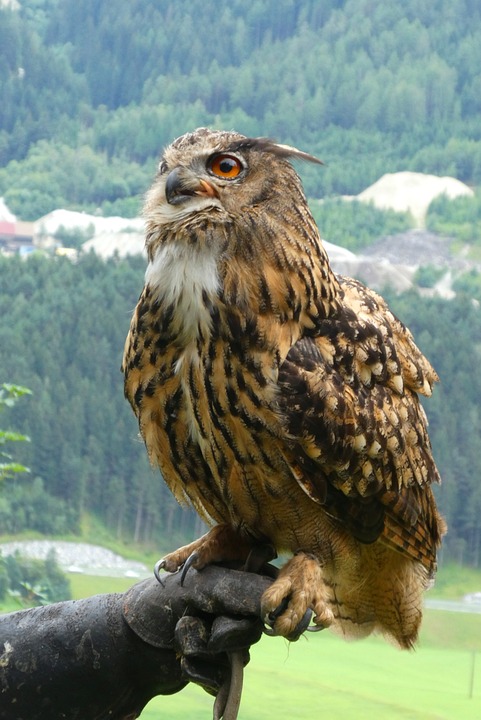 Finanzexperte prognostiziert: S&P 500 erreicht 2024 neue Höchststände