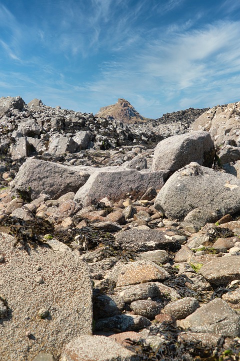 Hochsaison für Reisen: Fluggesellschaften optimistisch trotz knapper Sitzplatzangebote und steigender Preise. Umsätze nach Corona wieder auf Rekordniveau. Erhöhte Ticketpreise und Luftverkehrsteuer belasten Urlaubsbudgets.