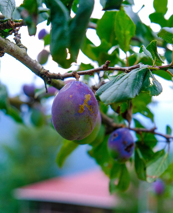 Erik Smolinski: Vom Aktienhandel zum siebenstelligen Nettovermögen – Einblicke eines Finanzexperten