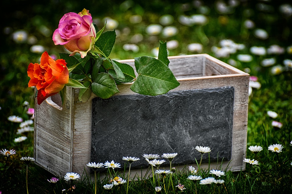 Der beste ETF für die Altersvorsorge: Warum der Vanguard Total World Stock ETF (VT) den MSCI World schlägt.