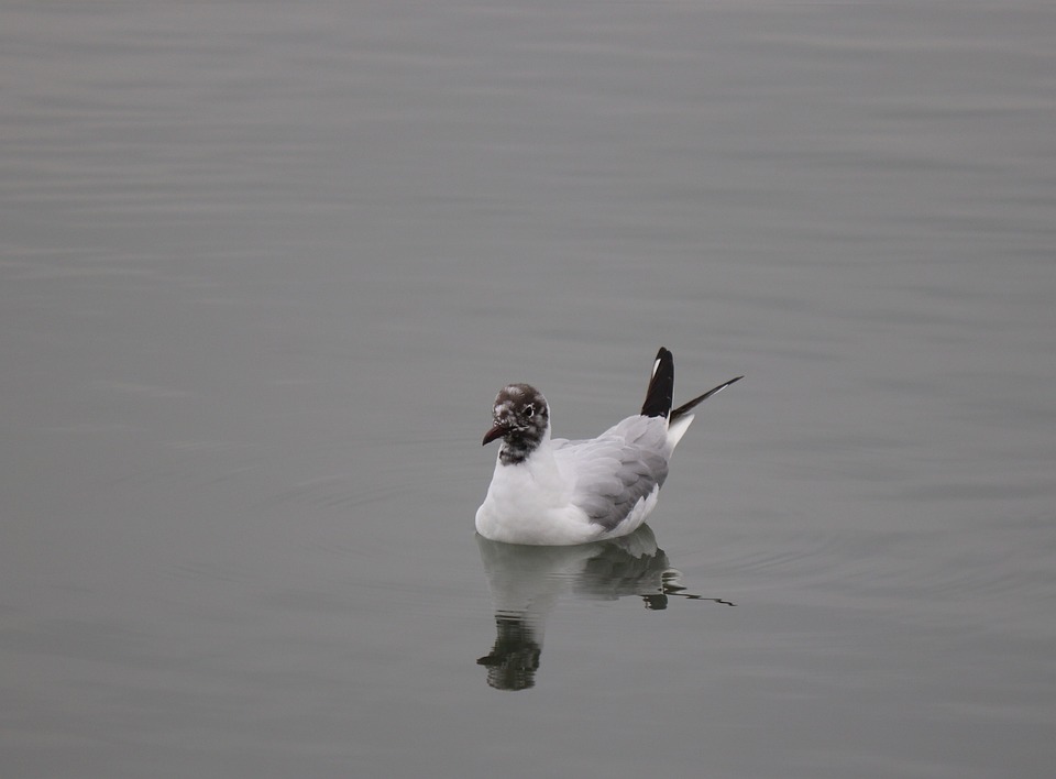 Steigende Zinsen: Jetzt noch Freistellungsauftrag anpassen – Ratschlag eines Finanzexperten