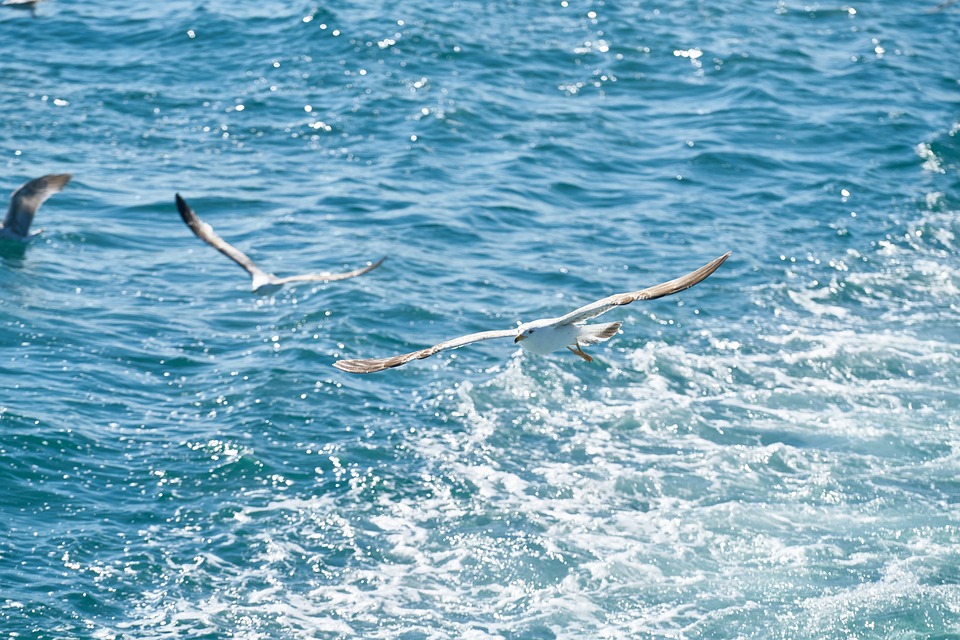 Steigende Anleiherenditen: US-Aktienmärkte in Gefahr? Mögliche Auswirkungen auf den S&P 500 Index und die beste Strategie für Anleger.