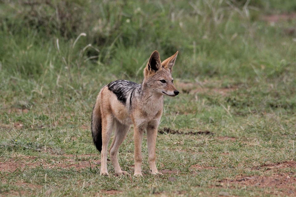 Finanzexperte unterstützt Grafingerin bei ungewöhnlicher Wohnungssuche, um Familie zu helfen – Artikel vom 04.12.2023.