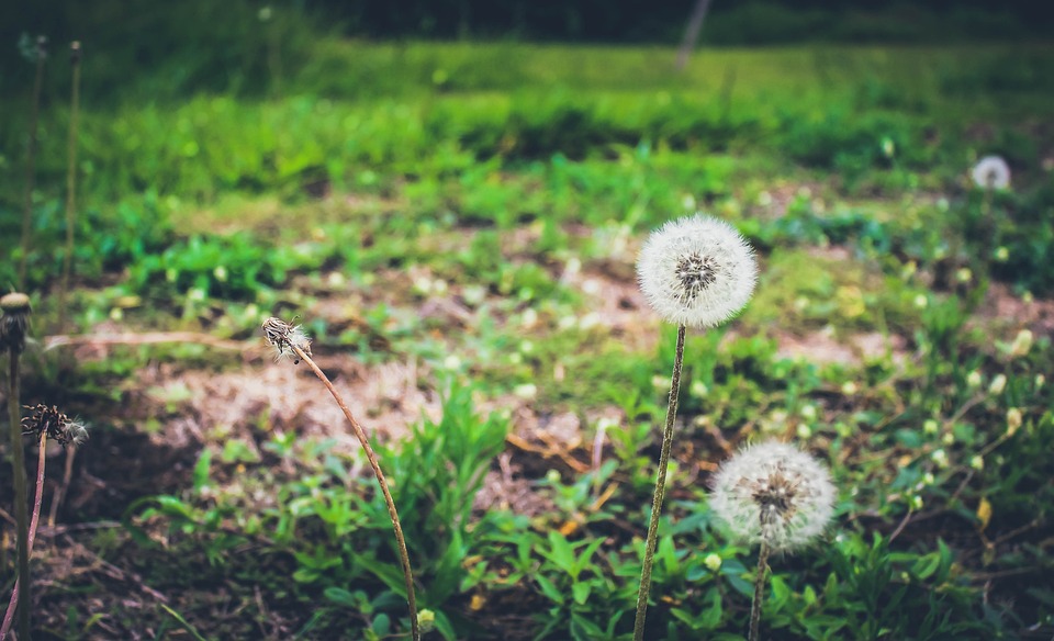Nachhaltiger Konsum: Tipps zur Erkennung von Umweltsiegeln und nachhaltigen Einkaufsverhalten
