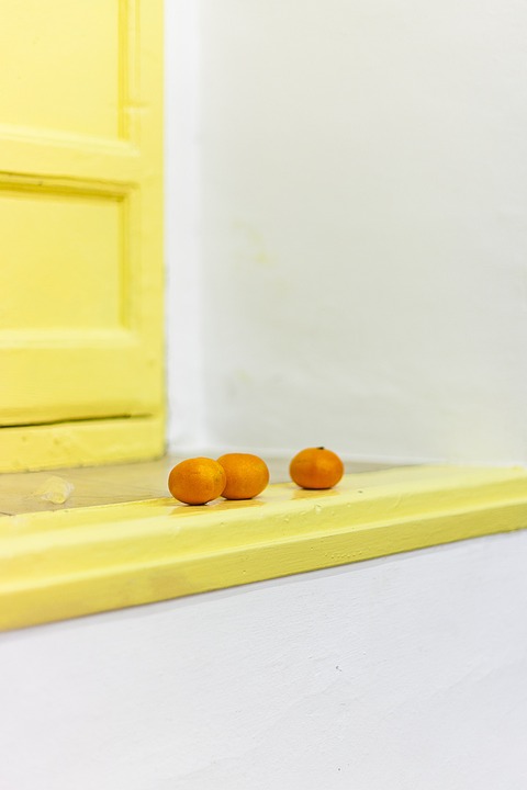 Ampel-Koalition verabschiedet Bundeshaushalt 2024 – Kritik von CDU-Chef Friedrich Merz