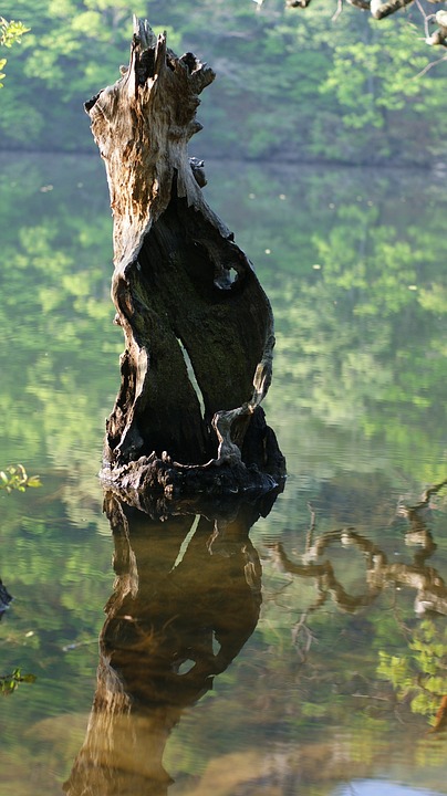 Die wichtigsten Investmentstrategien für Anfänger – Tipps von Finanzexperten.