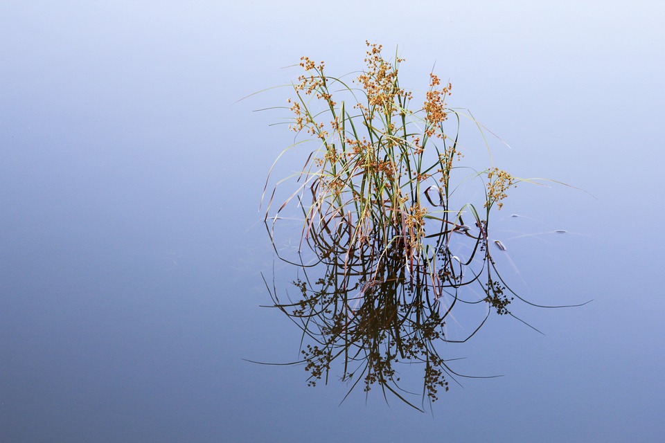 Die 5 wichtigsten Tipps für eine erfolgreiche Finanzplanung.
