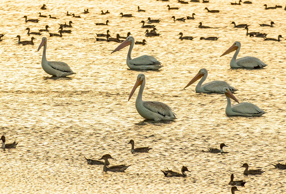 Post-Ärger? Verbraucherzentrale in Niedersachsen bietet neues Online-Tool zur Unterstützung bei Problemen mit Briefen und Paketen