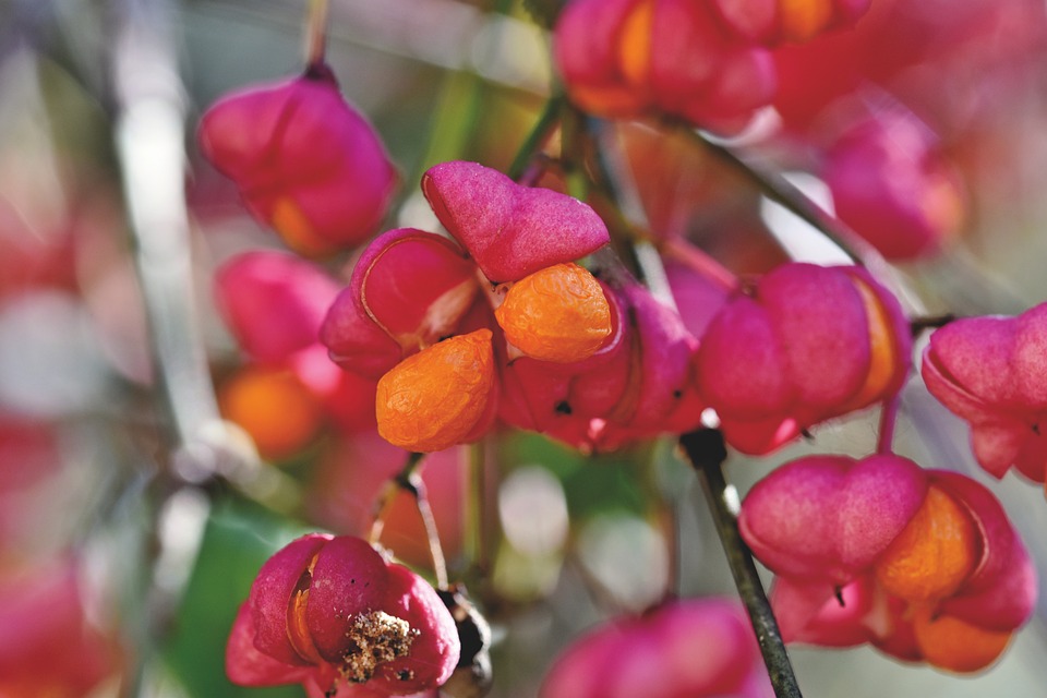 So bewältigen Sie finanziellen Stress