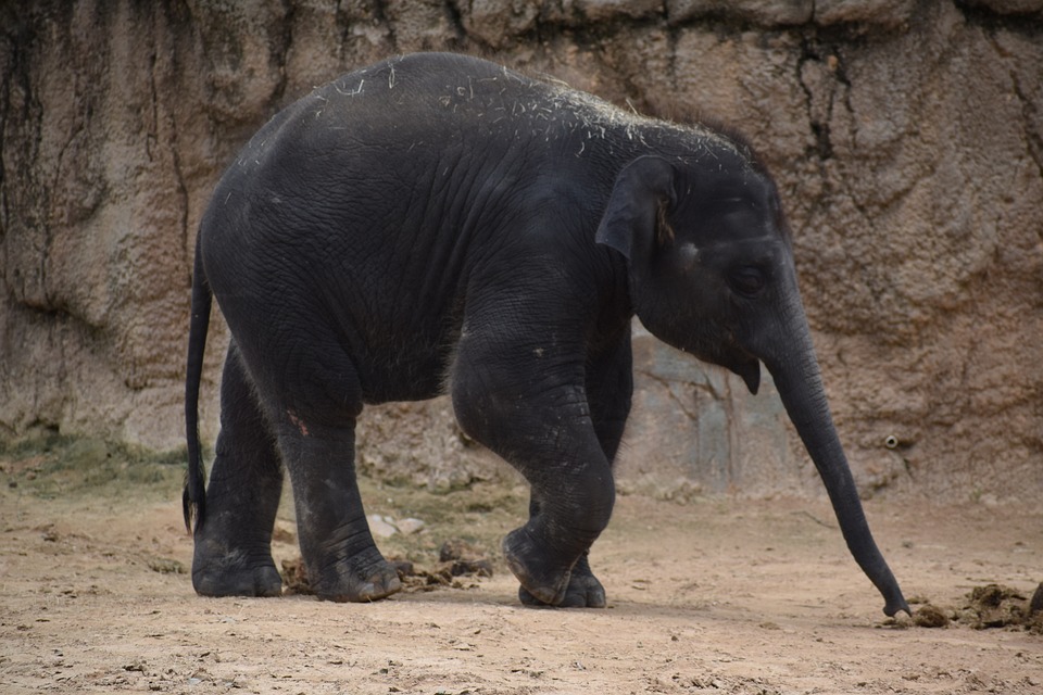 Sollten Sie in Startups investieren?